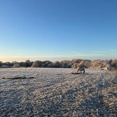 度假居 Wonderful 4 Bedroom Sleeps 8