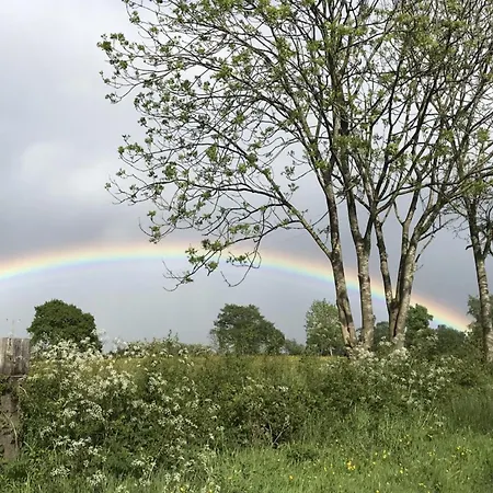 Wonderful 4 Bedroom Sleeps 8 Сasa de vacaciones Carlisle (Cumbria)