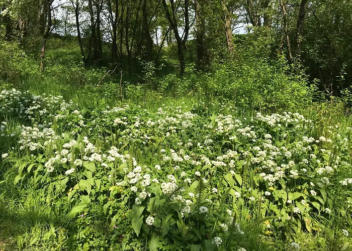 Hébergement de vacances Wonderful 4 Bedroom Sleeps 8 Carlisle (Cumbria)