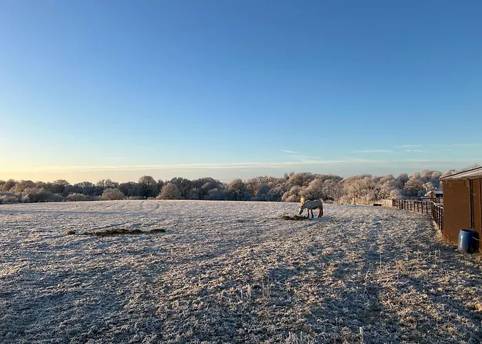 度假居 Wonderful 4 Bedroom Sleeps 8