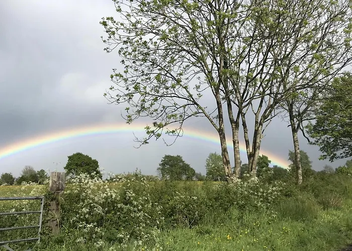 Wonderful 4 Bedroom Sleeps 8 度假居 卡莱尔